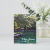 Wekiwa Springs, Apopka, FL Postkarte (Stehend Vorderseite)