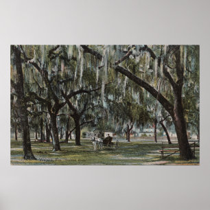 Welaka, FL - Aussicht auf Welaka Park & Mossy Tree Poster
