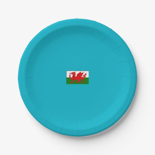 Welch-Flag-Party-Teller Pappteller (Vorderseite)