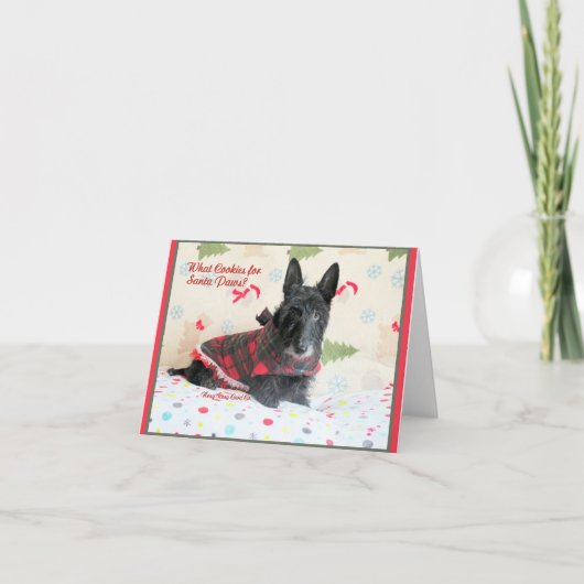 Welche Cookies? Karte (Vorderseite)