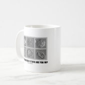 Welche embryonale Bühne sind Sie herein? (Embryos) Kaffeetasse