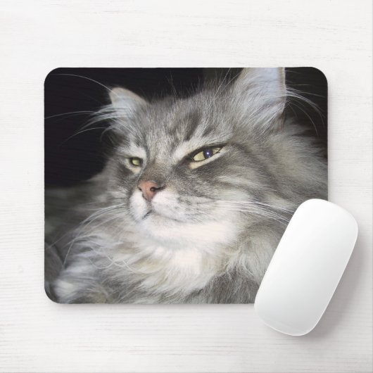 Welche Haltung? Mousepad (Mit Mouse)