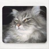 Welche Haltung? Mousepad (Vorne)