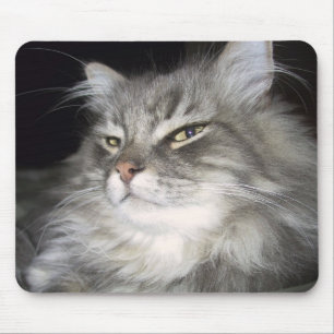 Welche Haltung? Mousepad