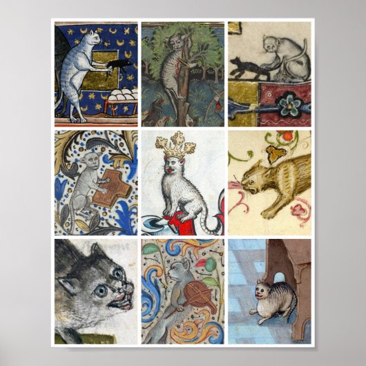 Welche mittelalterliche Katze bist du heute? Poster (Vorne)