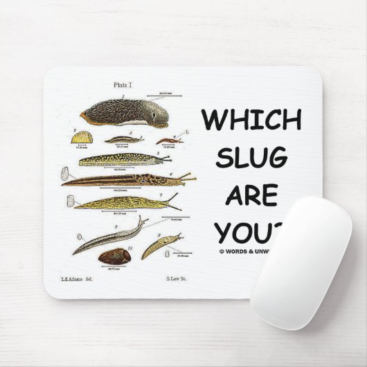 Welche Schnecke sind Sie? Mousepad (Mit Mouse)