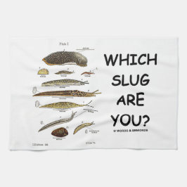 Welche Schnecke sind Sie? (Verschiedene Arten der Handtuch