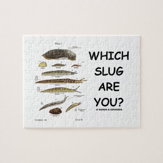 Welche Schnecke sind Sie? (Verschiedene Arten der Puzzle (Horizontal)