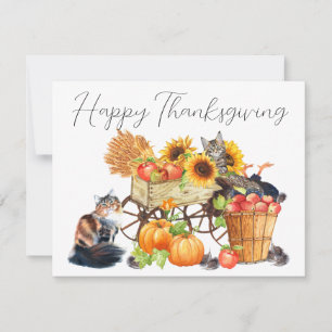 Welche Türkei? Einladung von unschuldigen Katzen E