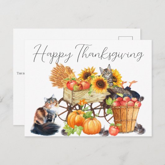 Welche Türkei? Erntedank der unschuldigen Katzen P Postkarte (Vorne/Hinten)