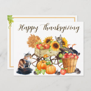 Welche Türkei? Unschuldige Katzen, glückliches Ern Karte