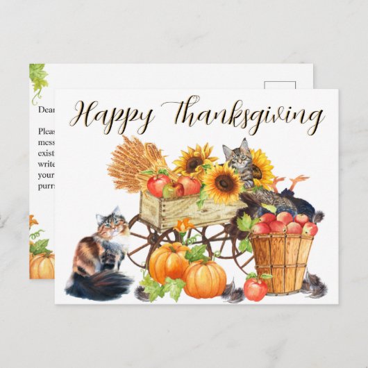 Welche Türkei? Unschuldige Katzen, glückliches Ern Postkarte (Vorne/Hinten)