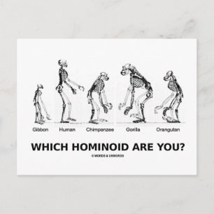 Welcher Hominoid bist du? (Hominid Skelette) Postkarte