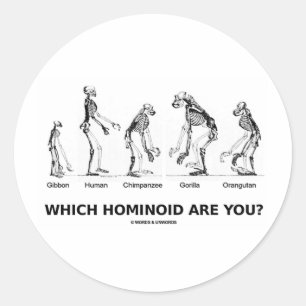 Welcher Hominoid bist du? (Hominid Skelette) Runder Aufkleber