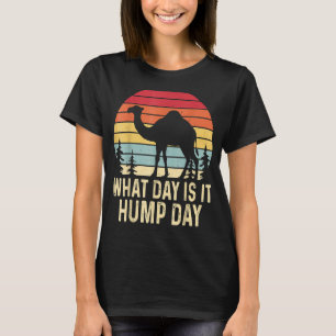 Welcher Tag Ist Es Mittwoch Retro Vintage Sonnenun T-Shirt