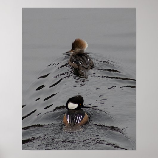 Welcher Weg Poster (Vorne)