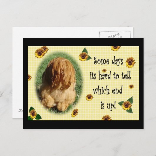 Welches Ende ist wahr? Postkarte (Vorne/Hinten)