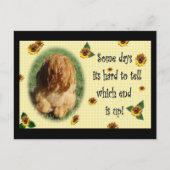 Welches Ende ist wahr? Postkarte (Vorderseite)