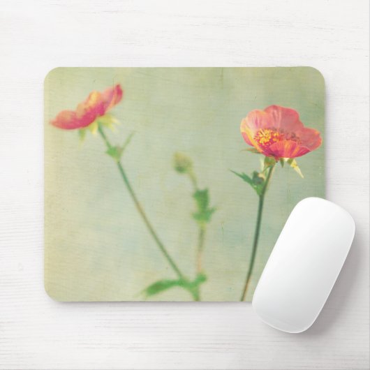 Welches folgende Mousepad (Mit Mouse)