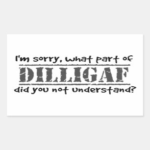 Welches Teil DILLIGAF verstanden Sie nicht? Rechteckiger Aufkleber