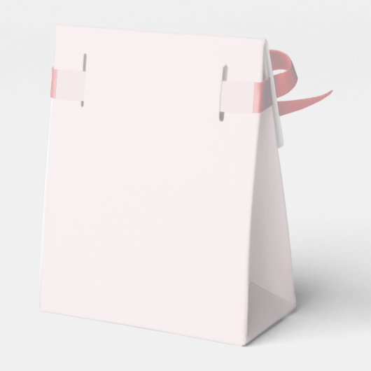 Welcome Baby Girl Dusche in Grau und Rosa Geschenkschachtel (Rückseite)