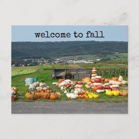 Welcome to fall Pumpkin farm Postcard Postkarte (Vorderseite)