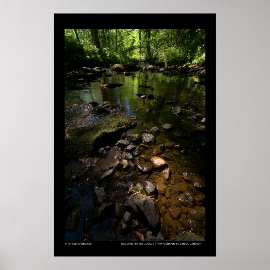 Welcome to the jungle poster (Vorne)