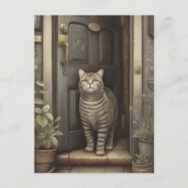 Welcome Zuhause Cat Postcard Postkarte
