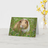 Well Card für Begleiter-Guinea Karte (Gelbe Blume)