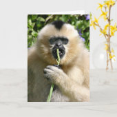 Well hello there karte (Gelbe Blume)