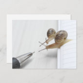 We'll help you study postkarte (Vorne/Hinten)