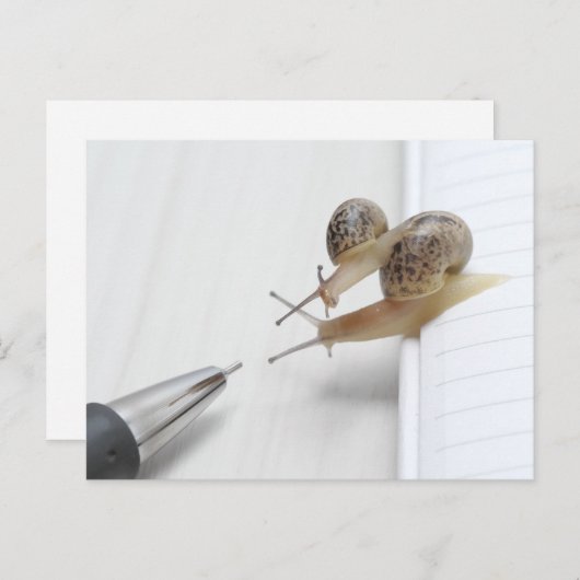 We'll help you study postkarte (Vorne/Hinten)