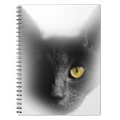 Wellcoda ein mit Augen schwarze Katzen-Freaky Notizblock (Vorderseite)