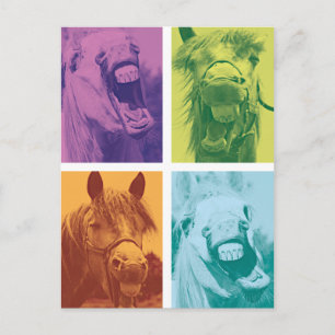Wellcoda Funny Animal Laugh Crazy Pferd Postkarte