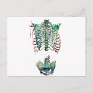 Wellcoda Human Body Rib Käfig Skelett Spaß Postkarte