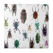 Wellcoda Käfer-Art Lebensraum-Insekten-Leben Fliese (Vorderseite)