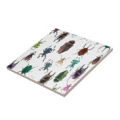 Wellcoda Käfer-Art Lebensraum-Insekten-Leben Fliese (Seite)