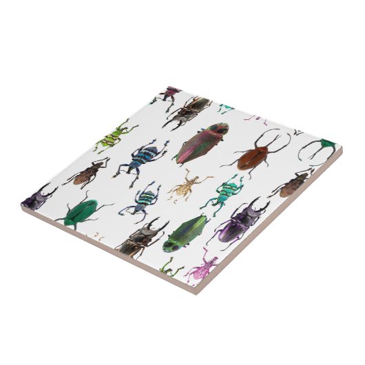 Wellcoda Käfer-Art Lebensraum-Insekten-Leben Fliese (Seite)