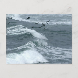 Wellen aus den Sunset Cliffs in San Diego Postkarte
