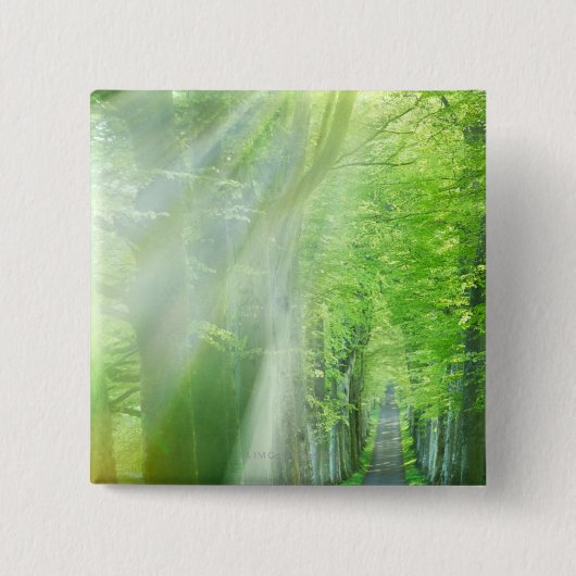 Wellen des Sonnenlichts Button (Vorderseite)