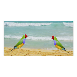 Wellen, Himmel und Surfen am Strand Poster