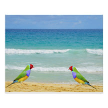 Wellen, Himmel und Surfen am Strand von Boa Vista