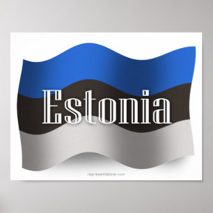 Wellenartig bewegende Flagge Estlands Poster