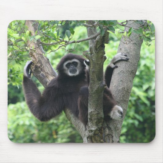 Wellenartig bewegender Affe Mousepad (Vorne)