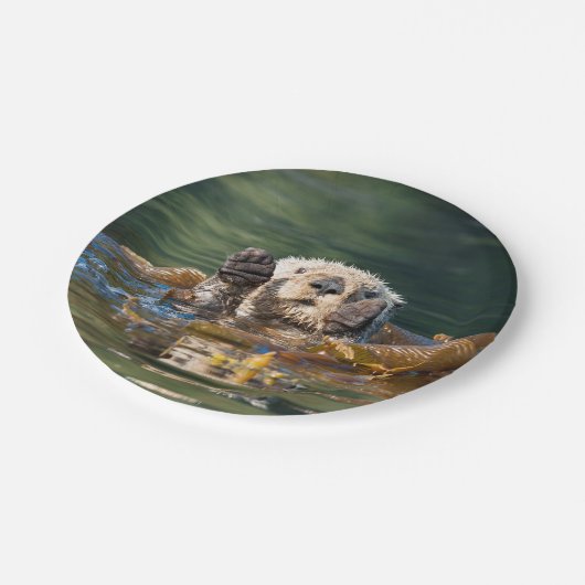 Wellenartig bewegender Seeotter Pappteller (Schrägansicht)