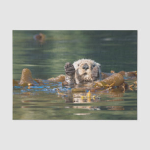 Wellenartig bewegender Seeotter Seidenpapier