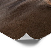 Wellenbrecher am Strand, Kalifornien Poster (Ecke)