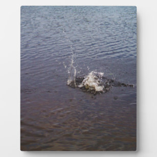 Wellenbrecher in einem See, von einem Fisch spring Fotoplatte