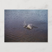 Wellenbrecher in einem See, von einem Fisch spring Postkarte (Vorderseite)