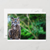 Wellenschale Postkarte (Vorne/Hinten)